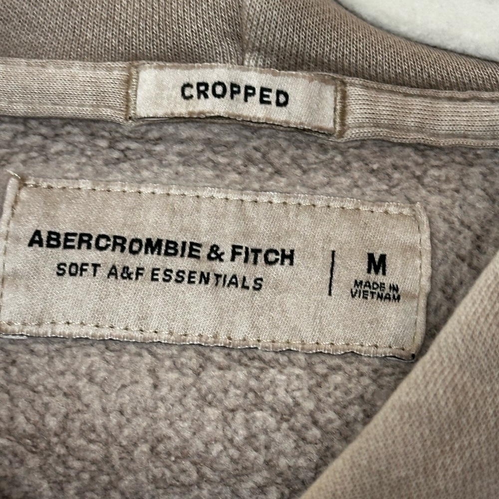 Abercrombie & Fitch Taupe Cropped Hoodie - Picture 3 of 7